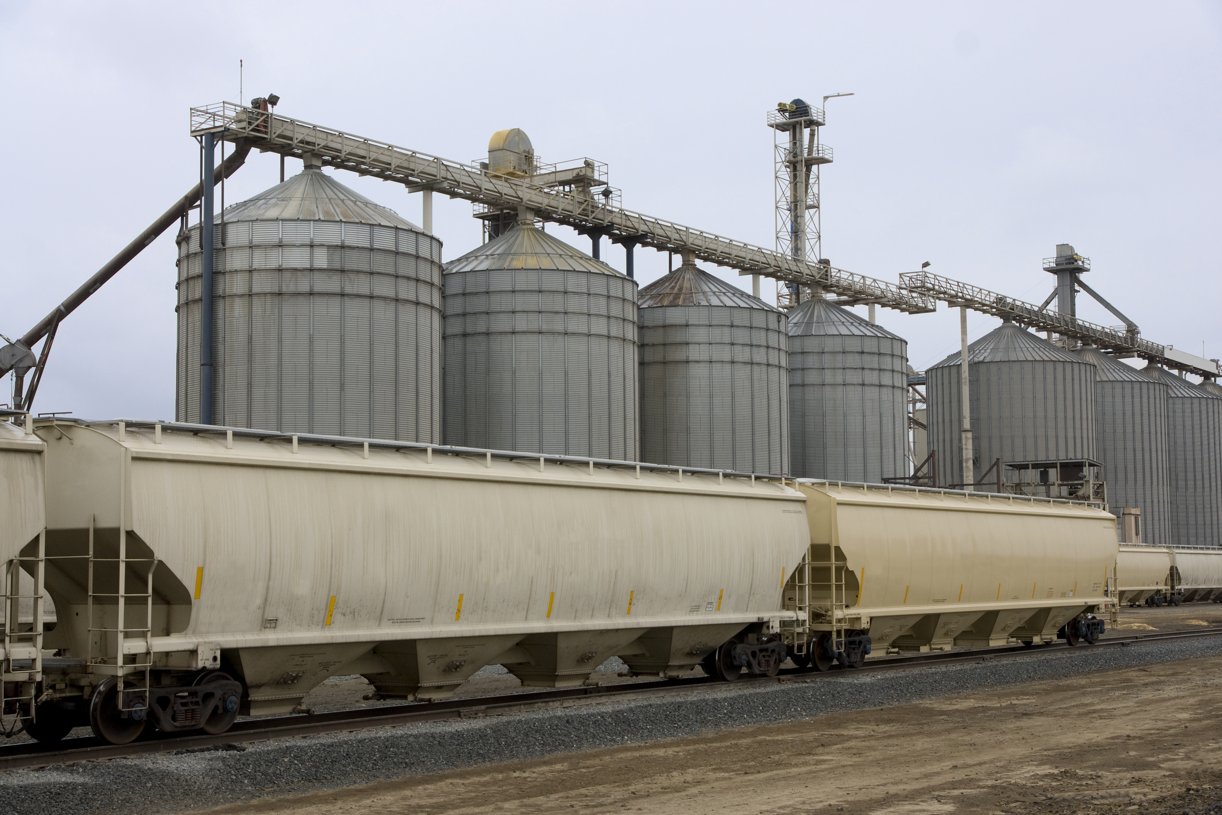 Grain bin and railcar transloading